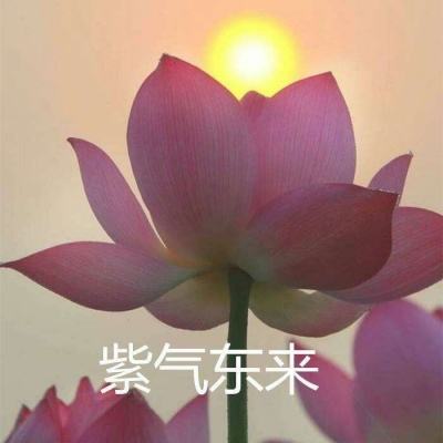梦灵官方手机版下载